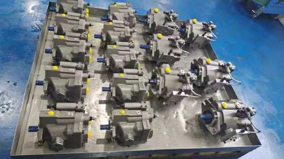 kaufen PVP 16/23/33/41/48 Kolbenpumpe für Spritzgussmaschinen online manufacture