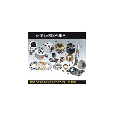 buy SAUER PV20-27 Hydraulic Pump Parts with Half Year Warranty Made of Steel Iron and Copper for Professional Engineer Solutions online manufacture